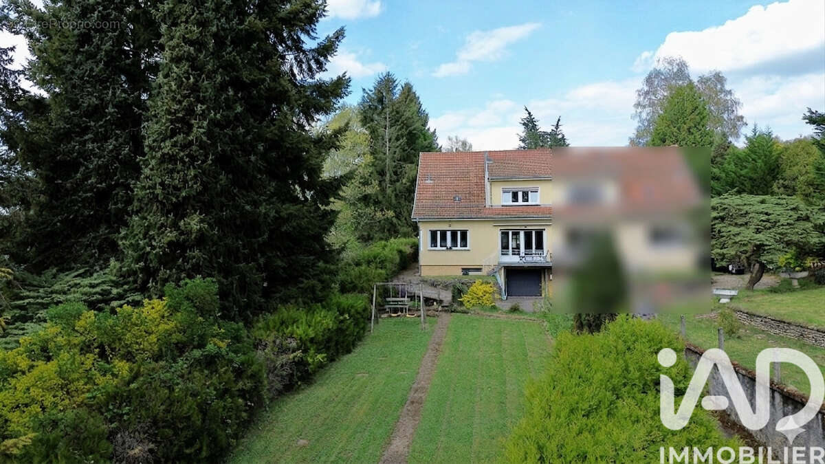 Photo 3 - Maison à HOMBOURG-HAUT