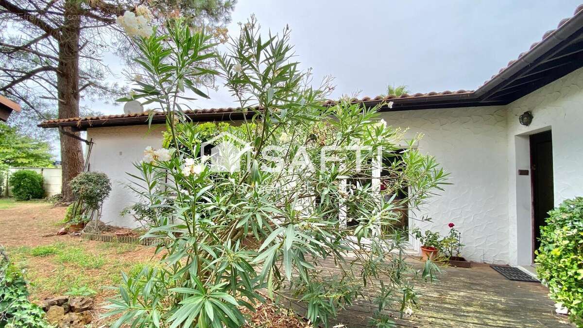 Photo 7 - Maison à GUJAN-MESTRAS