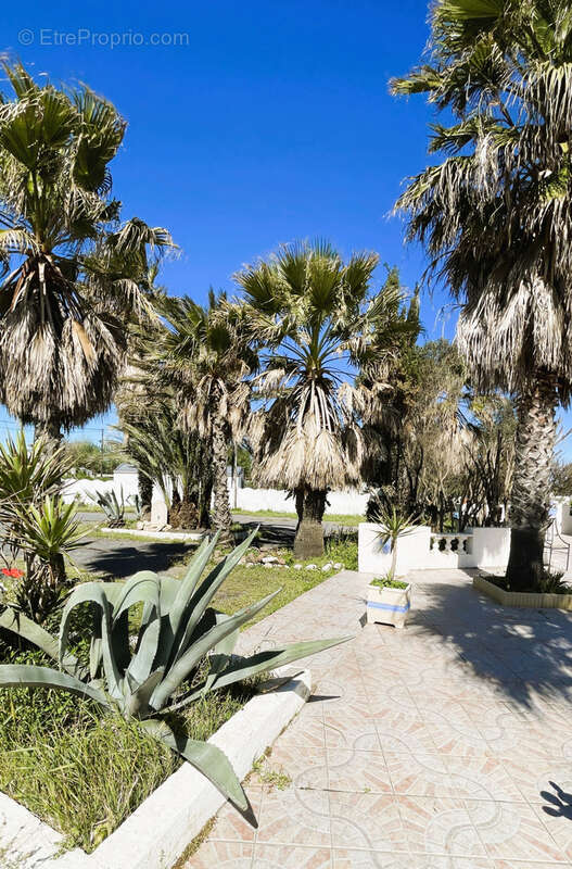 Maison à MARSEILLAN