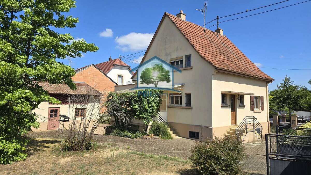Haguenau (67) - maison 139 m² sur 7,04 ares - photo 4