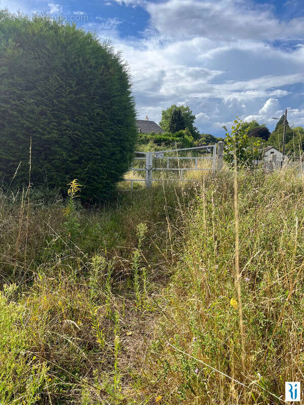 Terrain à SAINT-LEGER-DU-BOURG-DENIS