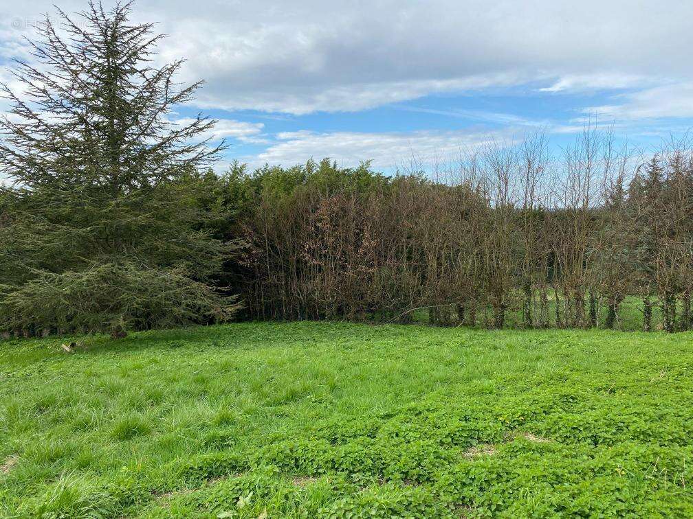 Terrain à AUBEVOYE