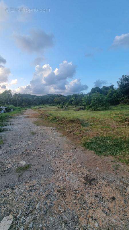 Terrain à LE ROBERT