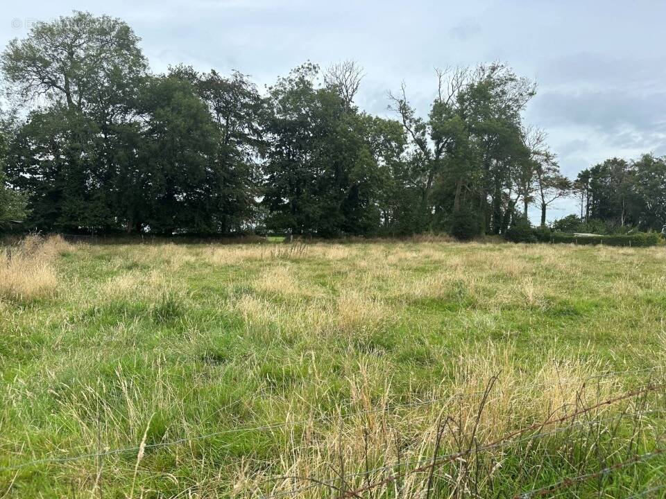 Terrain à GUJAN-MESTRAS