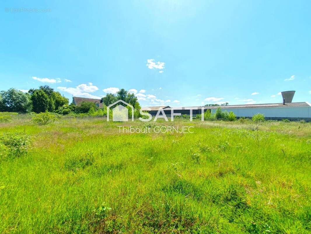 Photo 2 - Terrain à VARENNES-SUR-SEINE