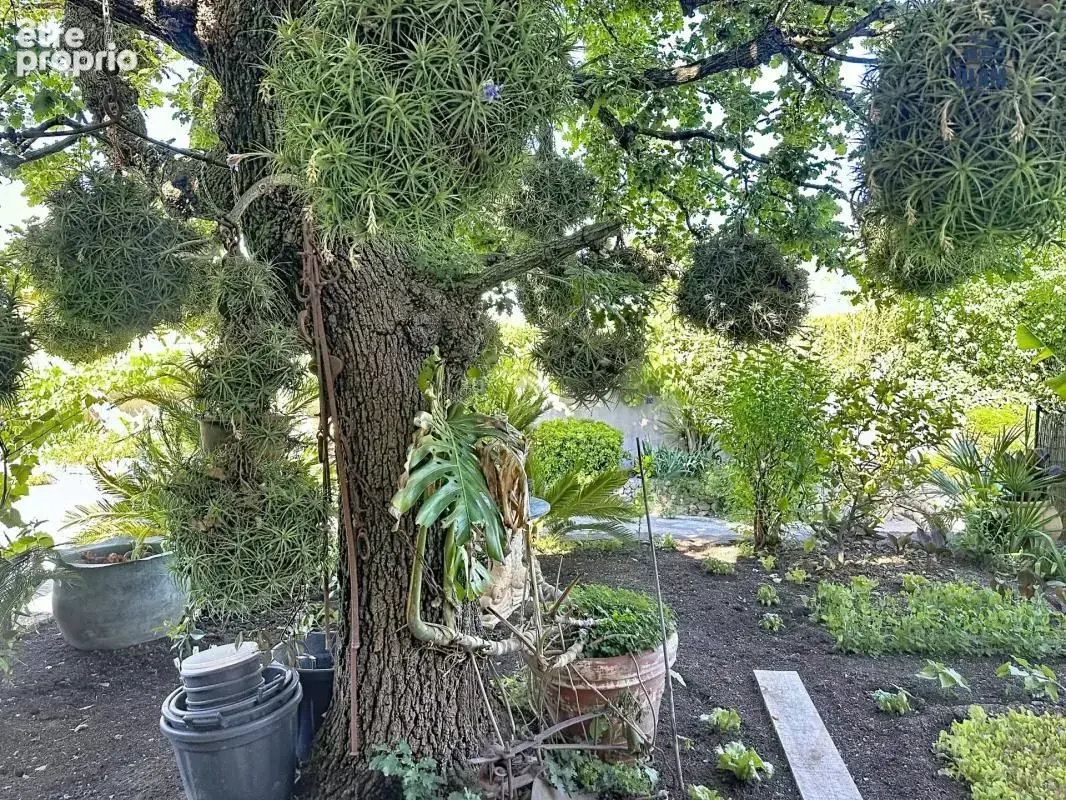Biot – Maison familiale avec jardin enchanteur et appartement indépendant - photo 29