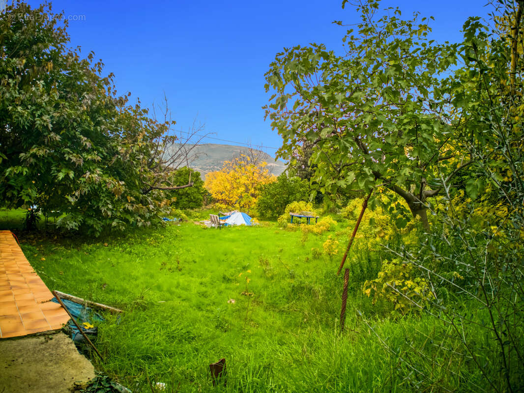 Terrain à CASTAGNIERS