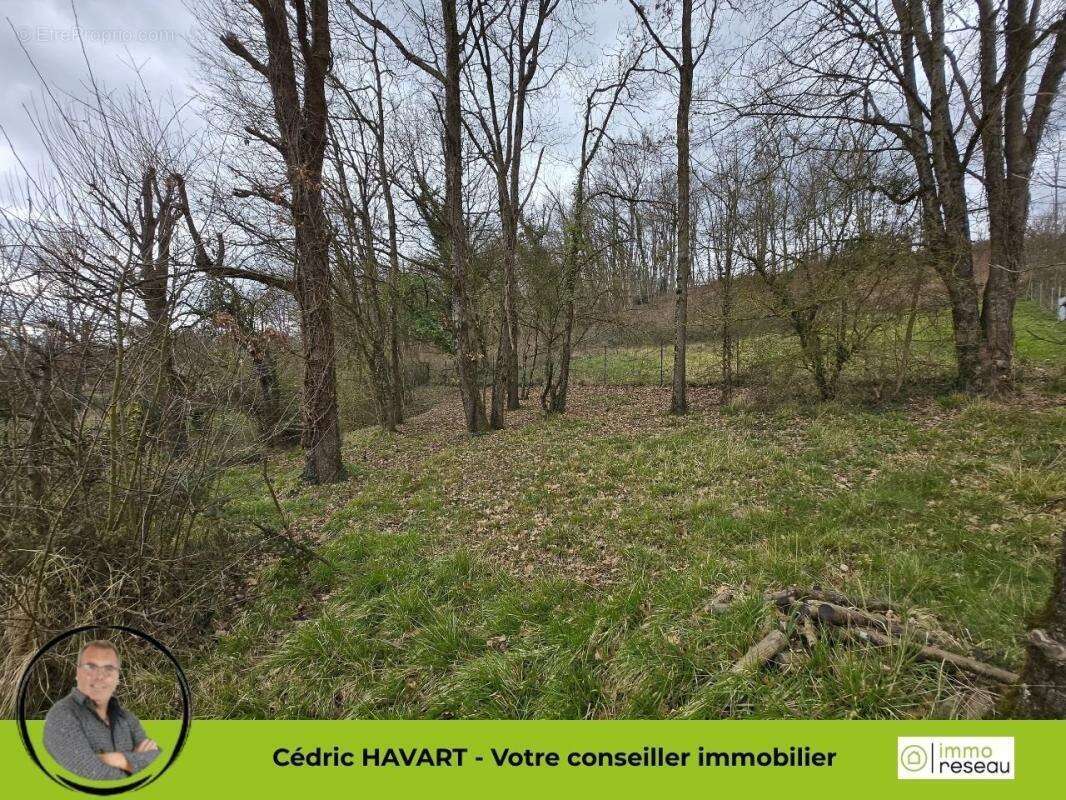 Terrain à SEIGY