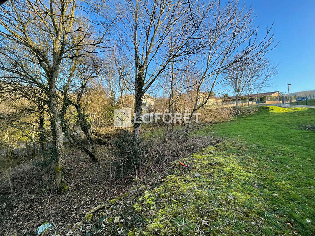 Terrain à LA ROCHE-VINEUSE