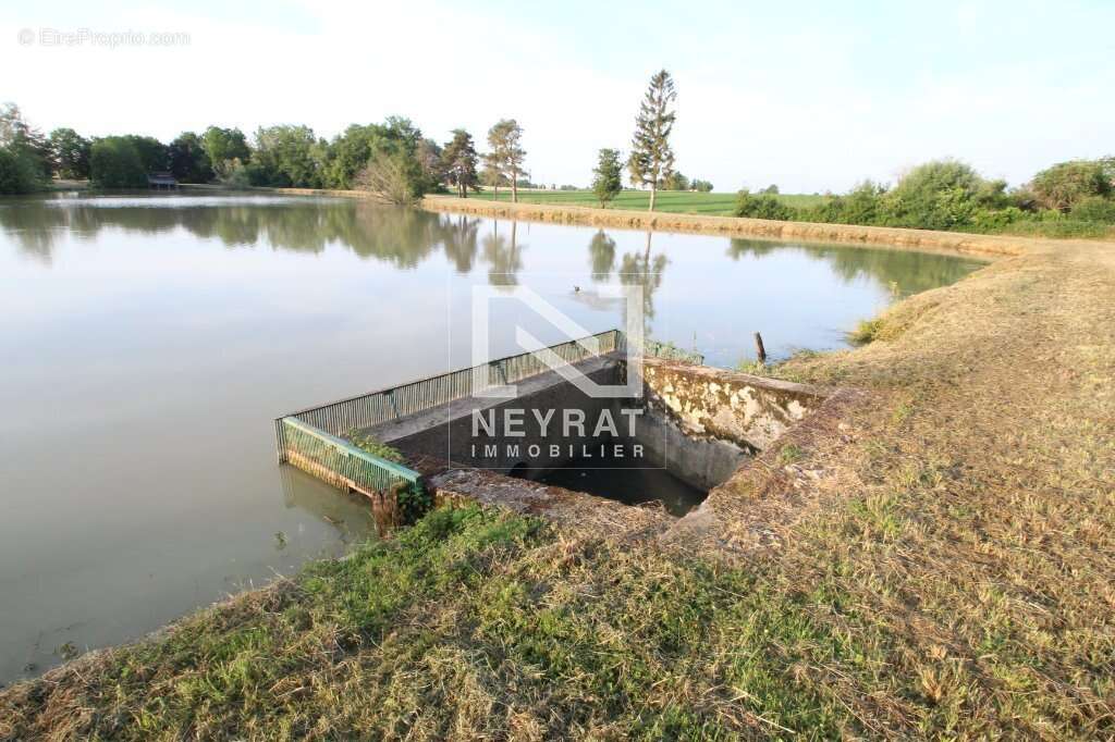 Etang avec sources - photo 10