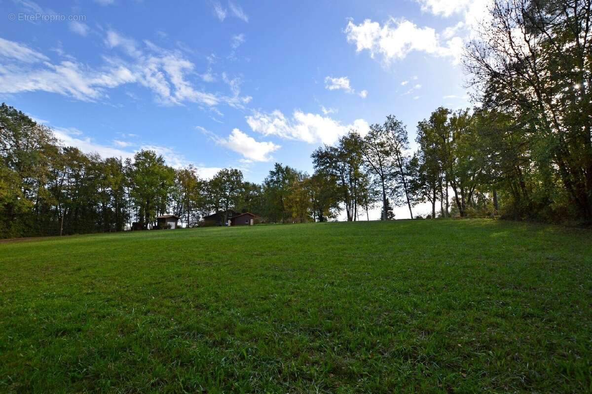 Terrain à SAVIGNAC-DE-DURAS