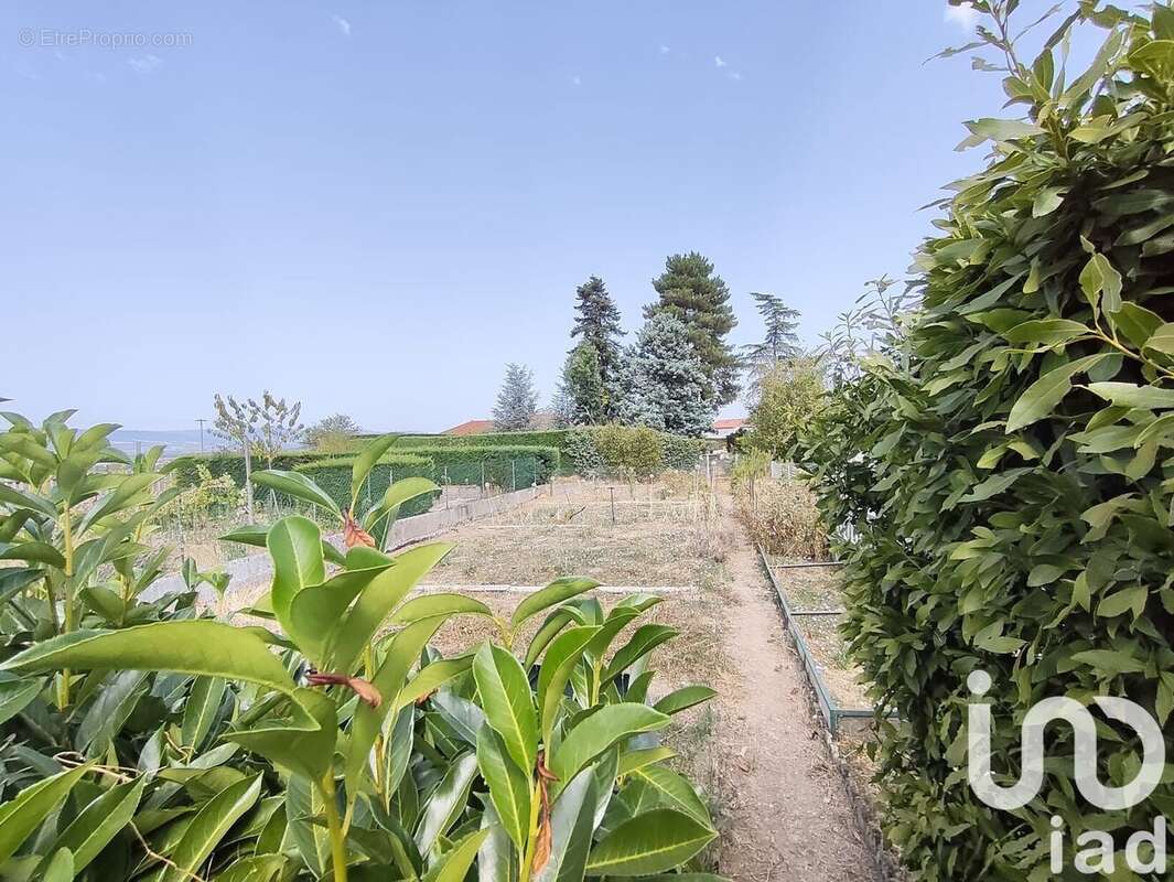 Photo 5 - Maison à COMMELLE-VERNAY