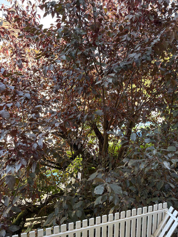 Maison à CHATELLERAULT