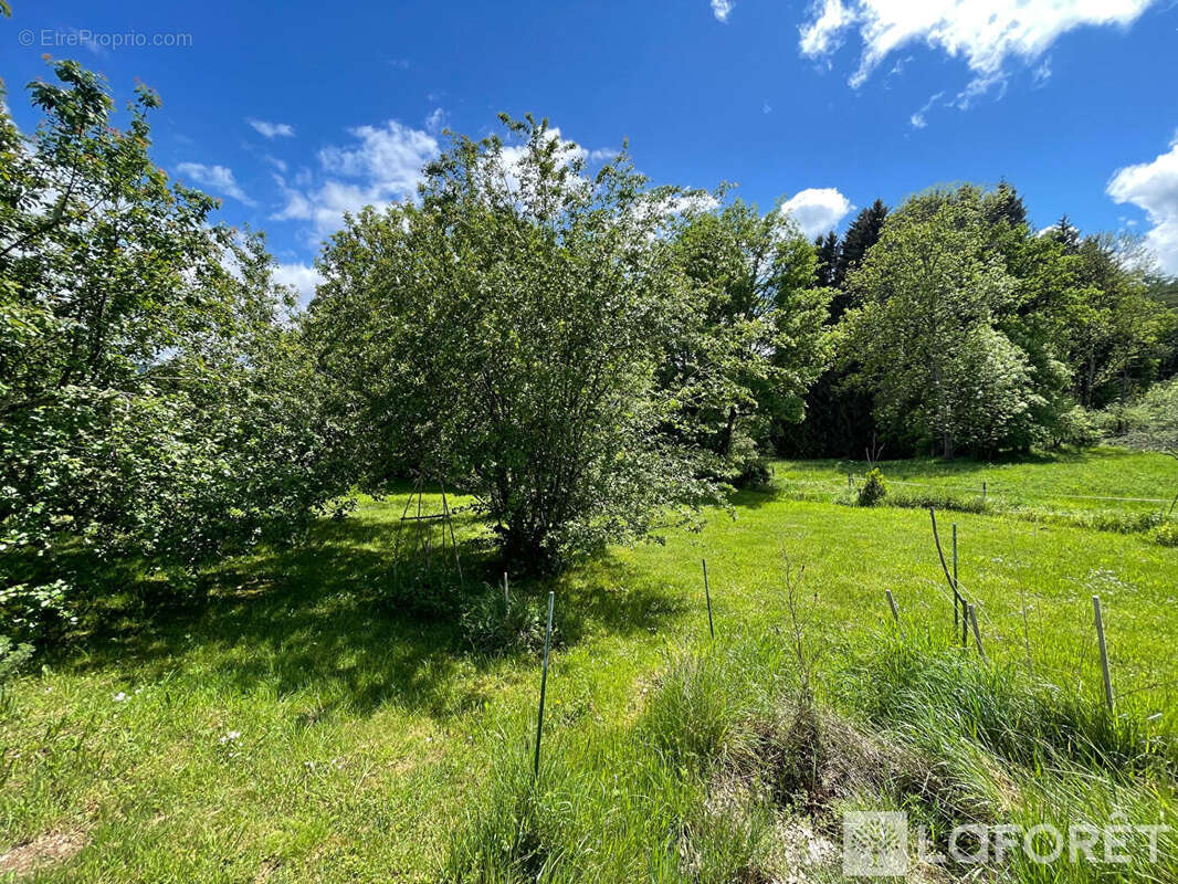 5km champagnac le vieux - photo 16