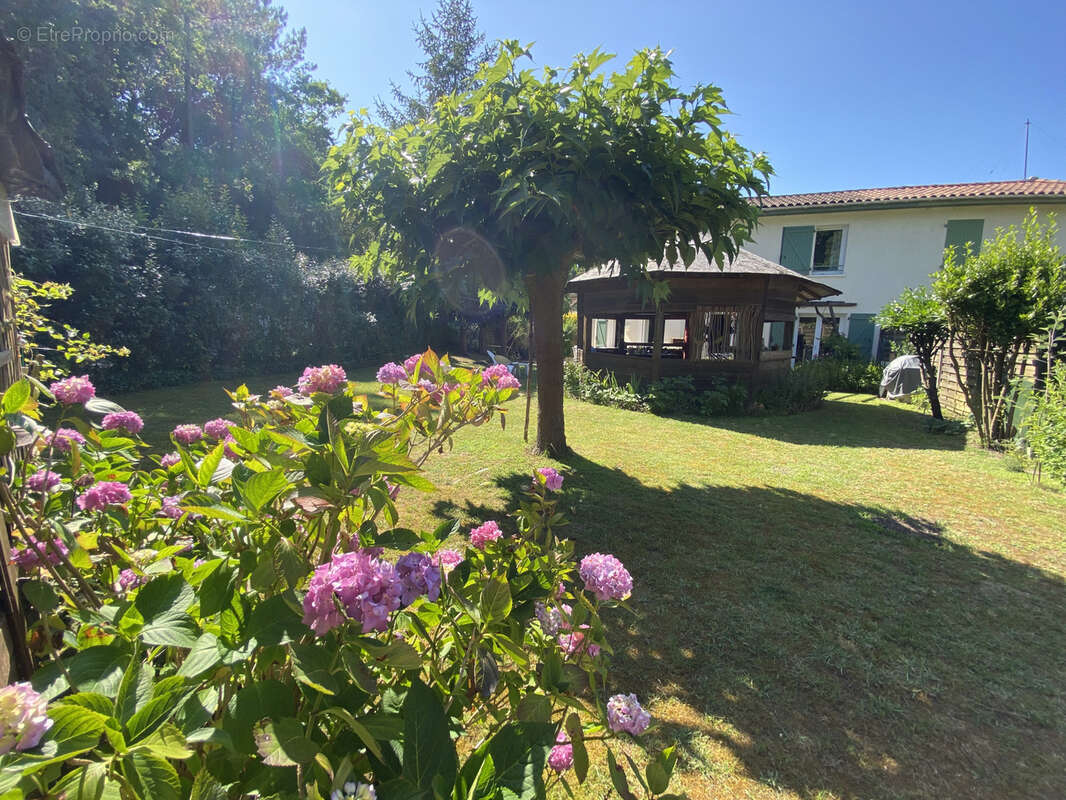 Maison à LABENNE