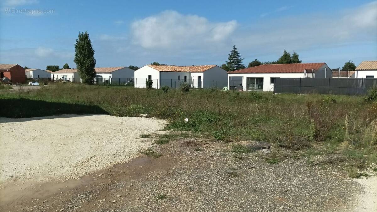 Terrain à SAINT-PORCHAIRE