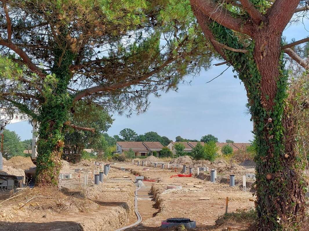 Terrain à SAINT-AUGUSTIN