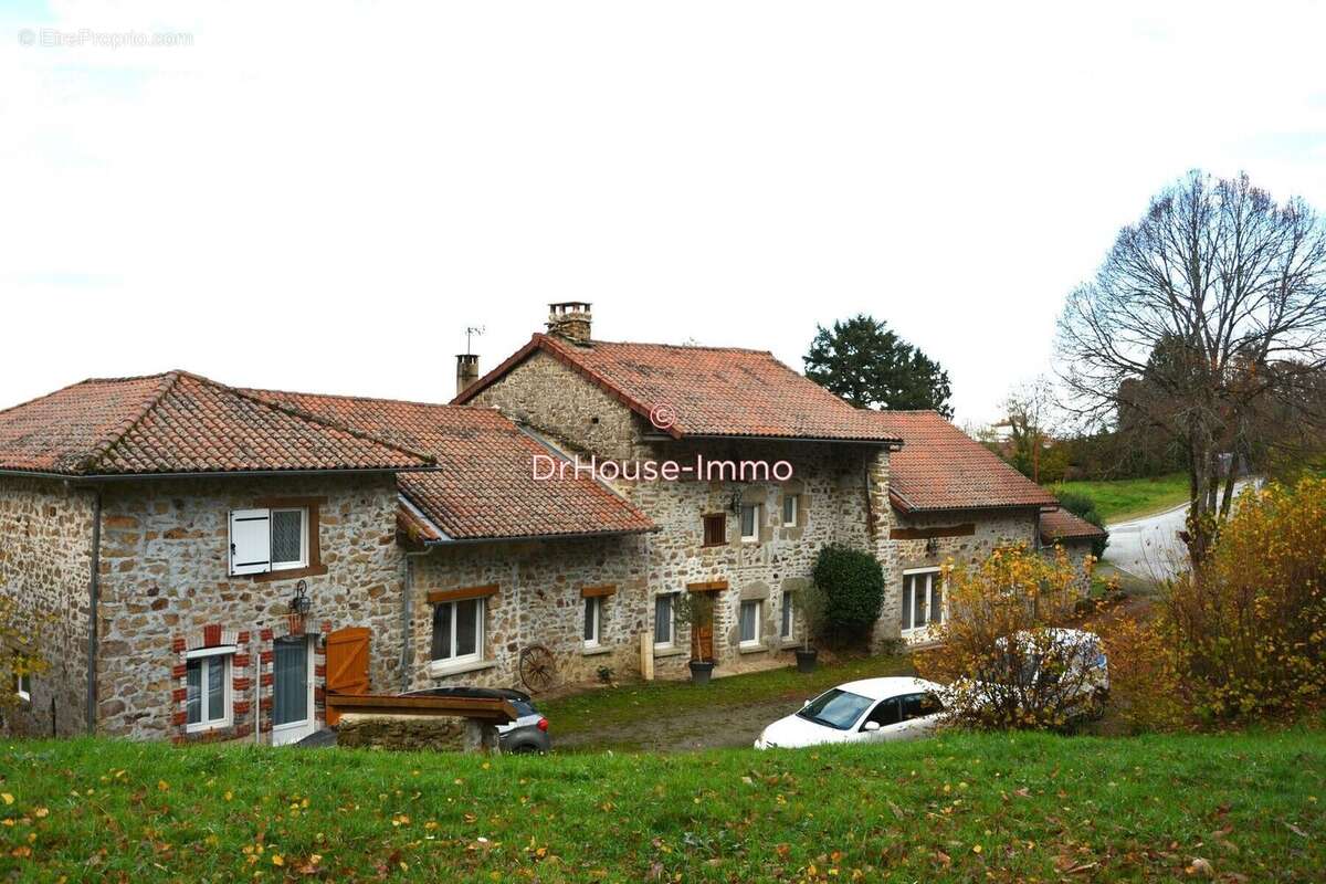 Maison 244 m² à Saint-Martin-Terressus  - photo 4