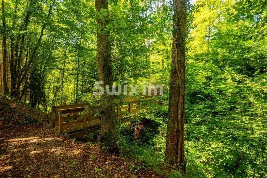 Maison à SAINT-DIE-DES-VOSGES