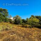 Terrain à LORGUES