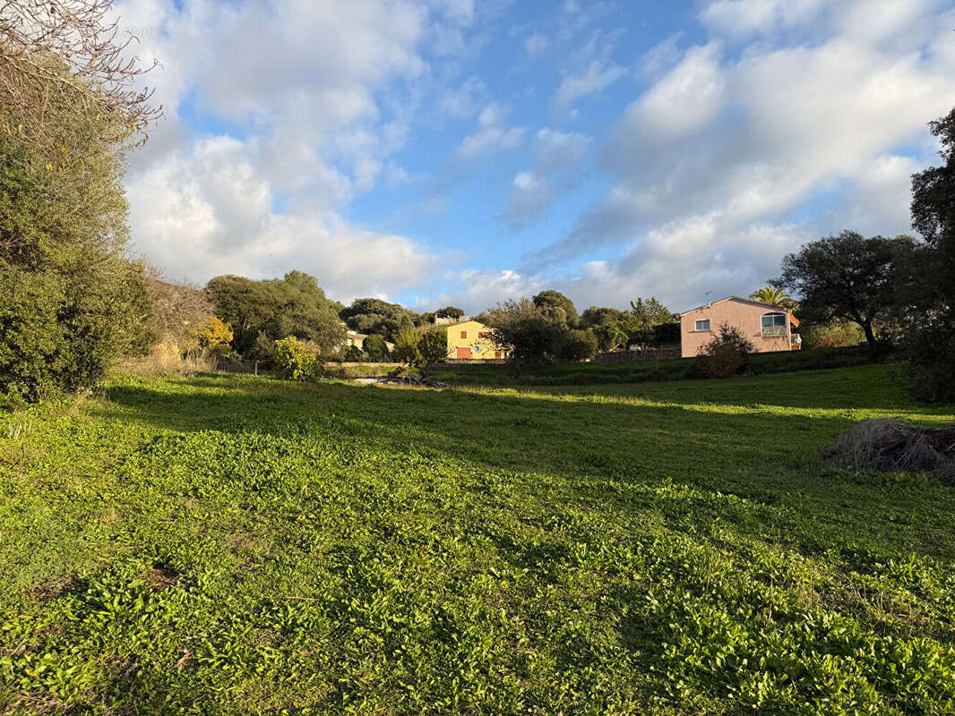 Terrain à BASTELICACCIA