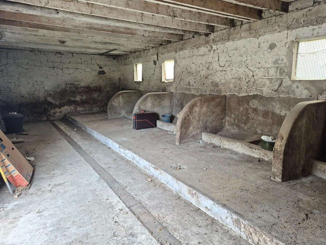 Maison à RANG-DU-FLIERS