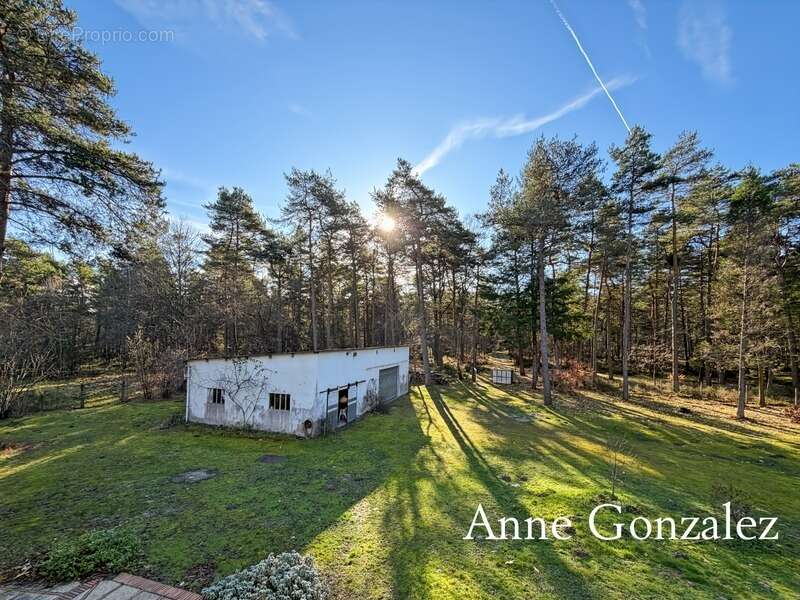 VIENNE EN VAL, à trente minutes d'ORLEANS aux portes de l'Orée de Sologne Propriété à vendre avec 24 hectares boisés et son étan - photo 10