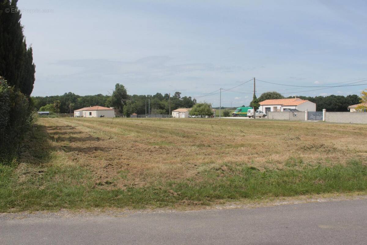 Photo 1 - Terrain à BOIS