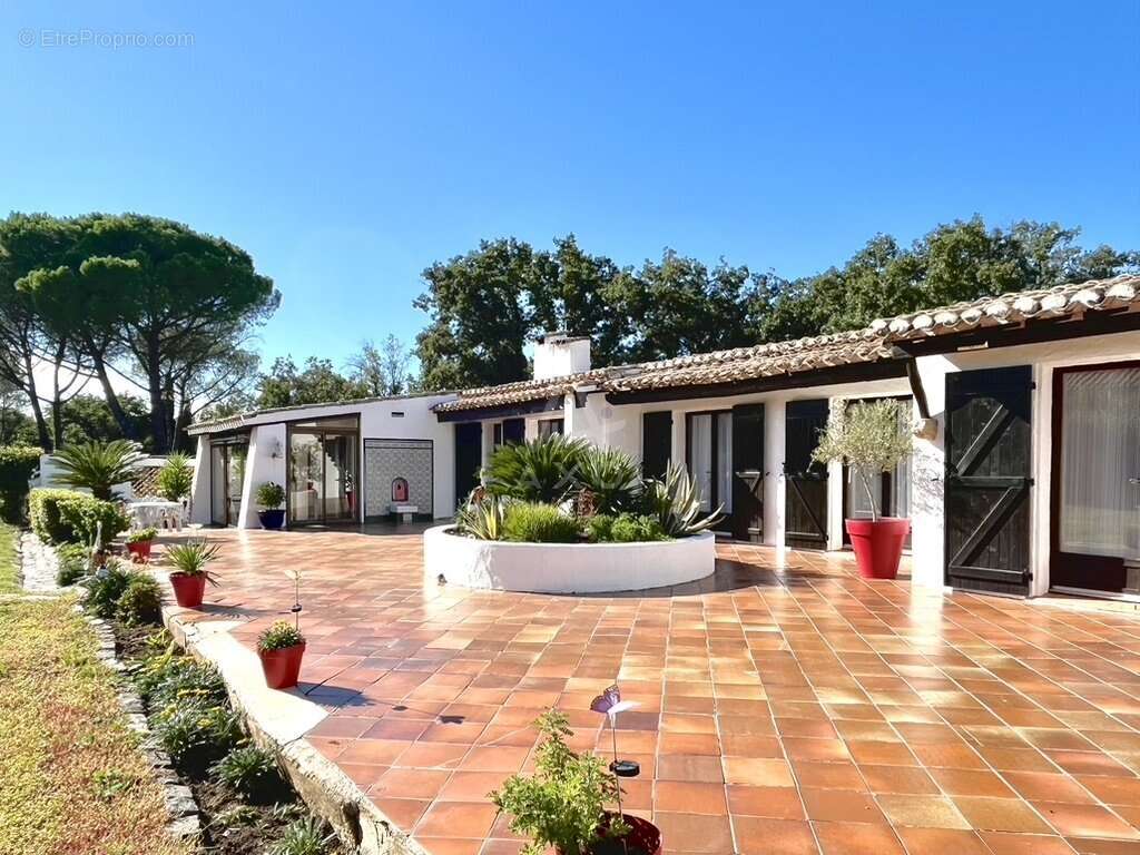 Maison à SAINT-THIBERY