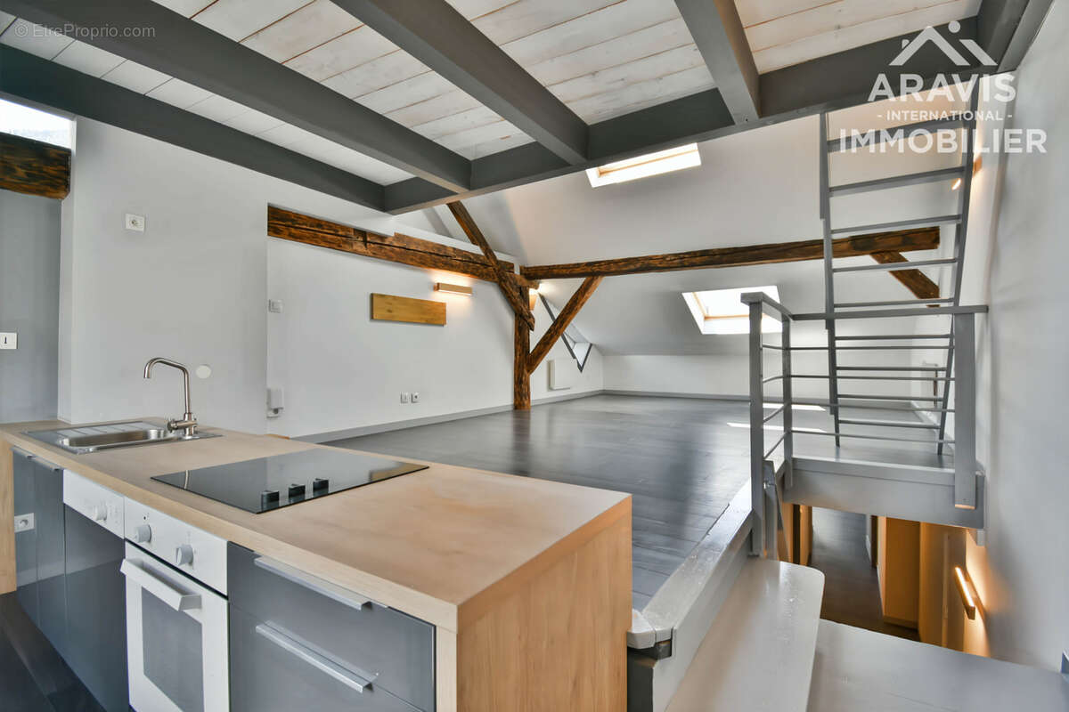 Appartement à SEYTHENEX
