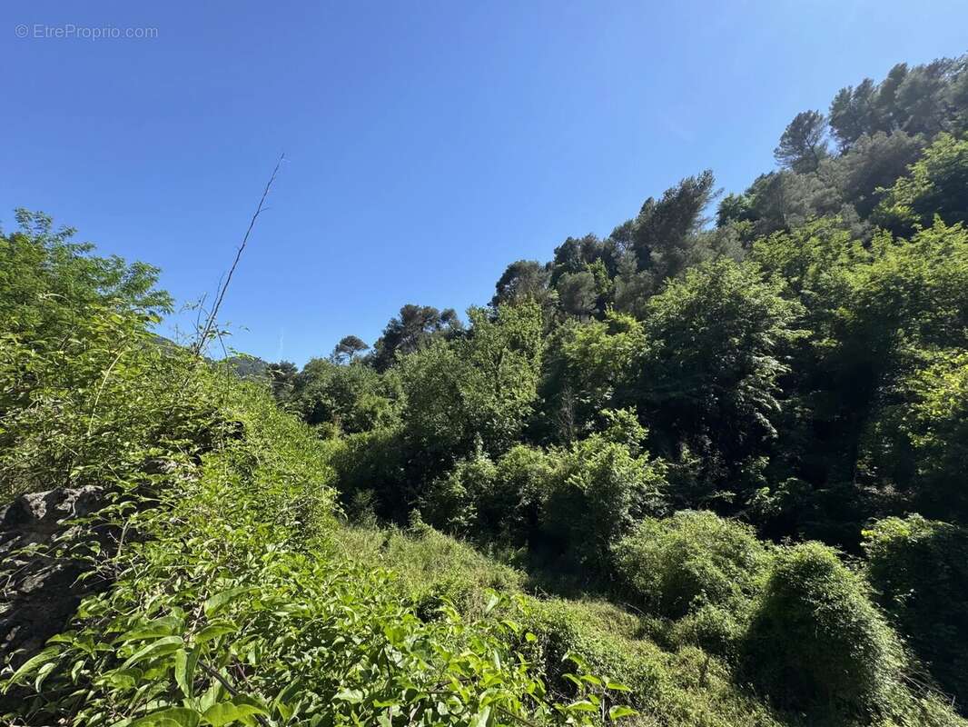 Terrain à TOURRETTE-LEVENS