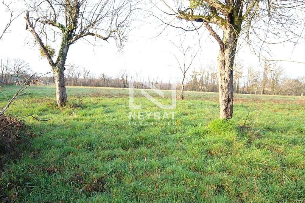 Terrain 624 m² à Saint-Germain-Du-Bois  - photo 4
