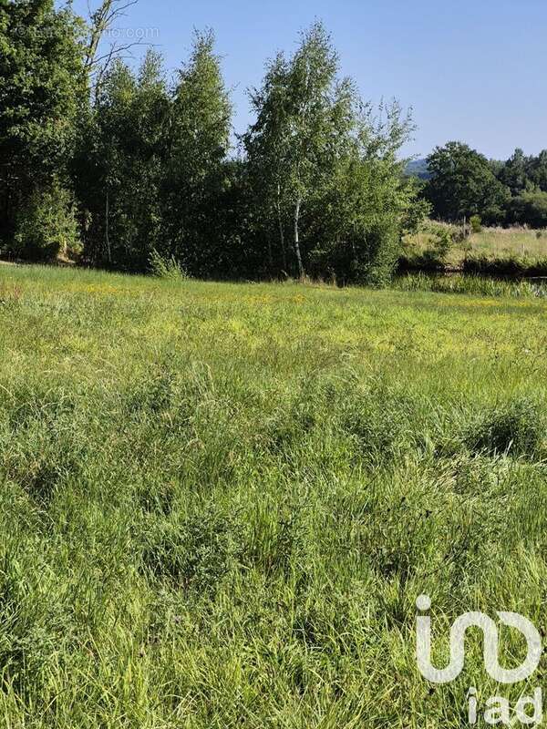 Photo 5 - Terrain à FERRIERES-EN-BRAY