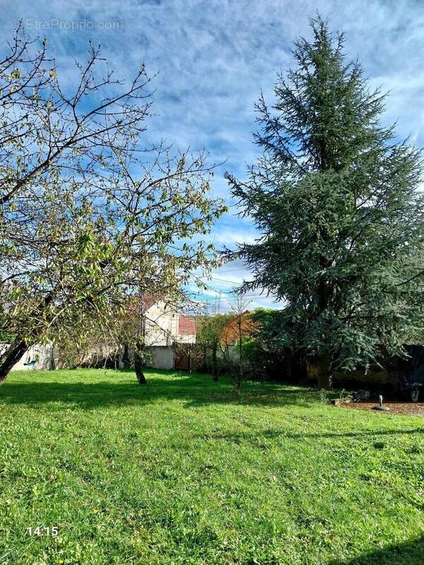Photo 1 - Terrain à THIAUCOURT-REGNIEVILLE