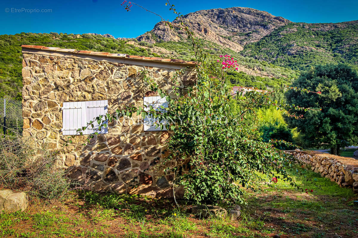 Maison à PIANA