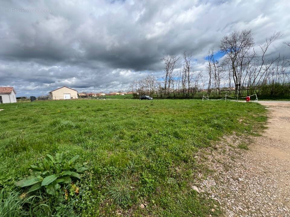 Terrain à SAINT-BENIGNE