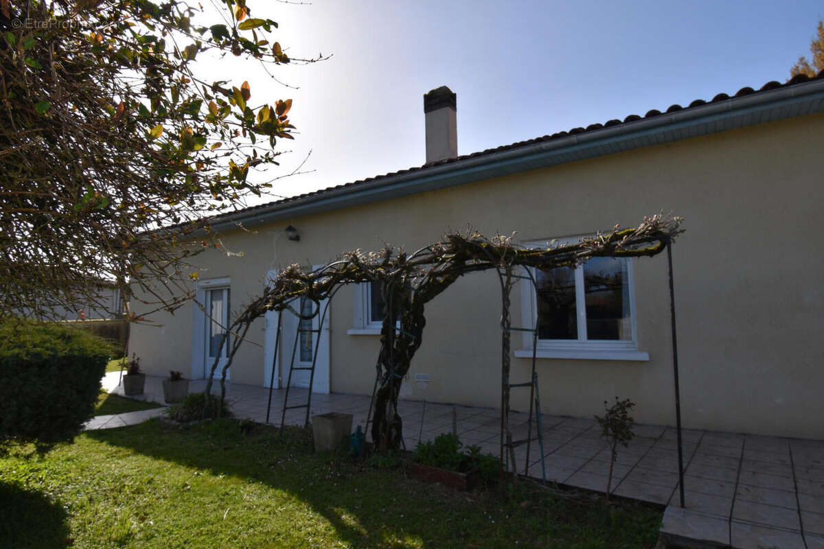 DSC_0016 - Maison à L'ISLE-D'ESPAGNAC