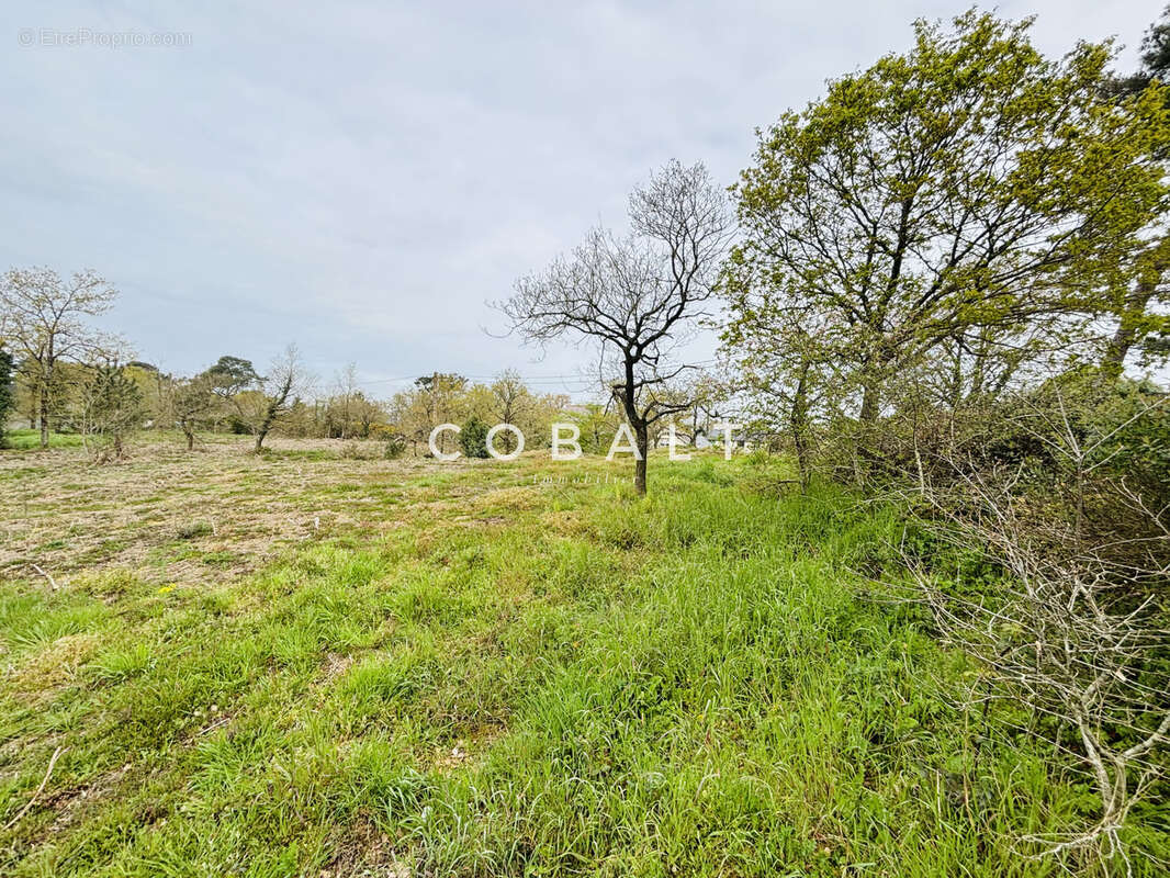 Terrain constructible - environnement calme - photo 3