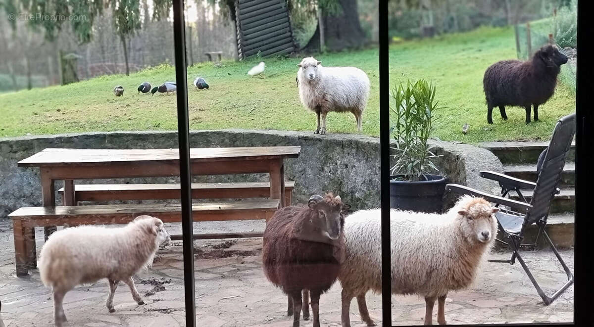 Autre à BRETONCELLES