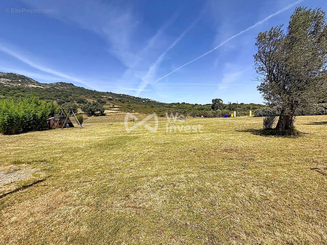 Maison 443 m² à Calvi  - photo 5