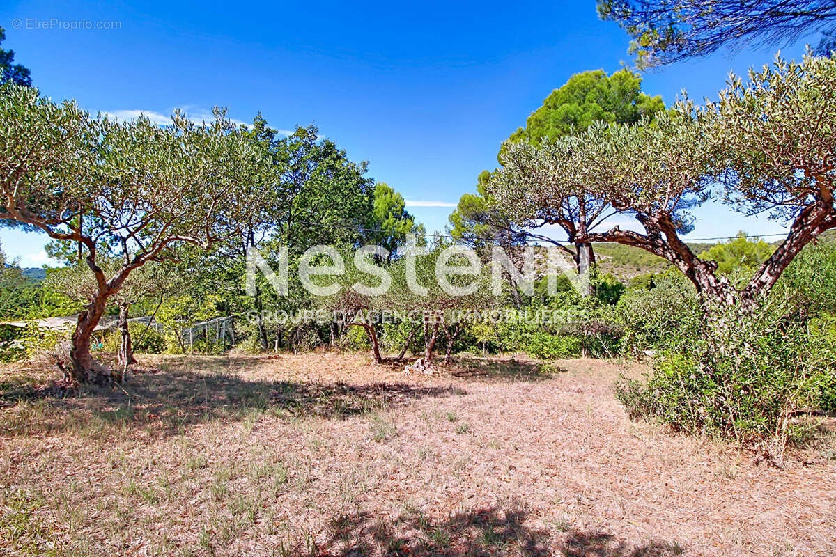 Terrain à SALERNES