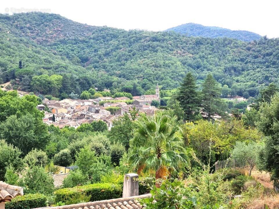 Terrain à COLLOBRIERES