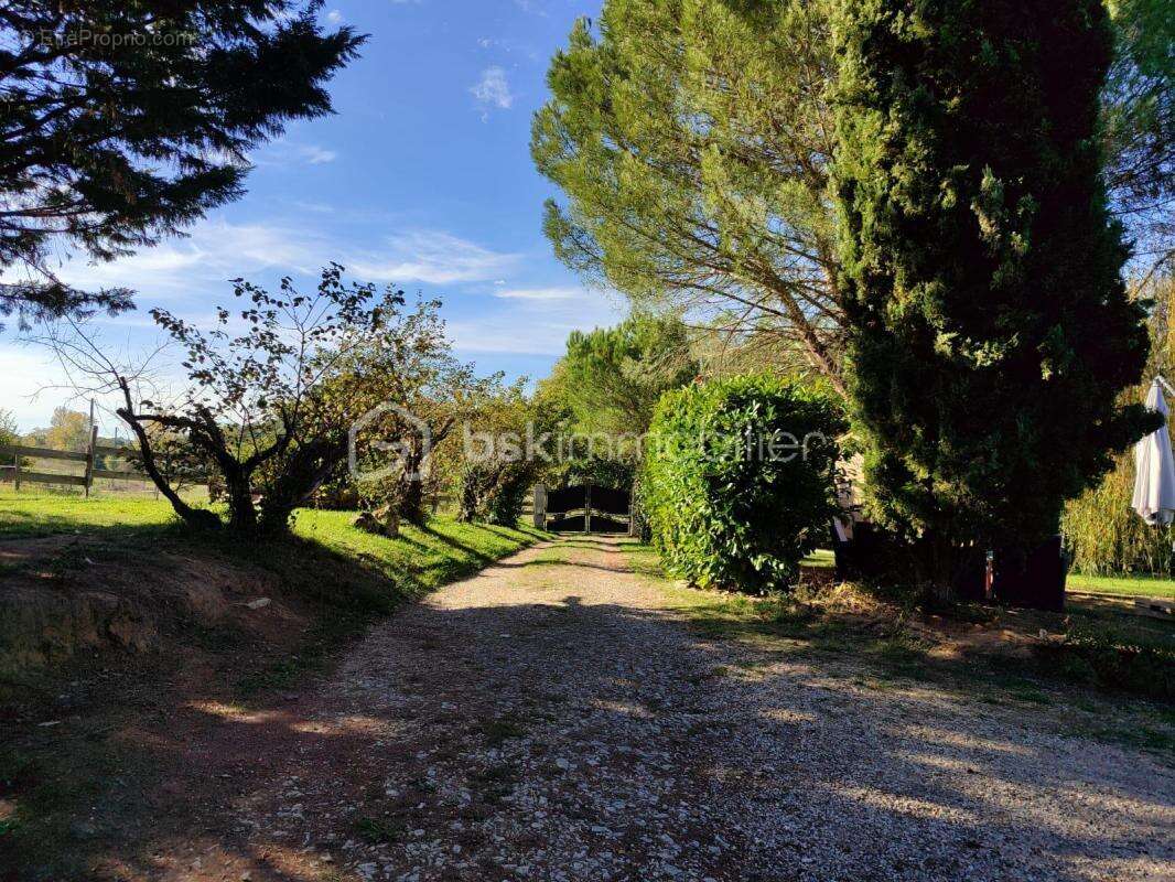 Maison à MONTESQUIOU