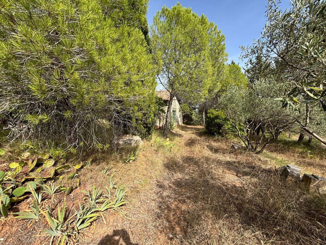 Terrain à PUISSERGUIER