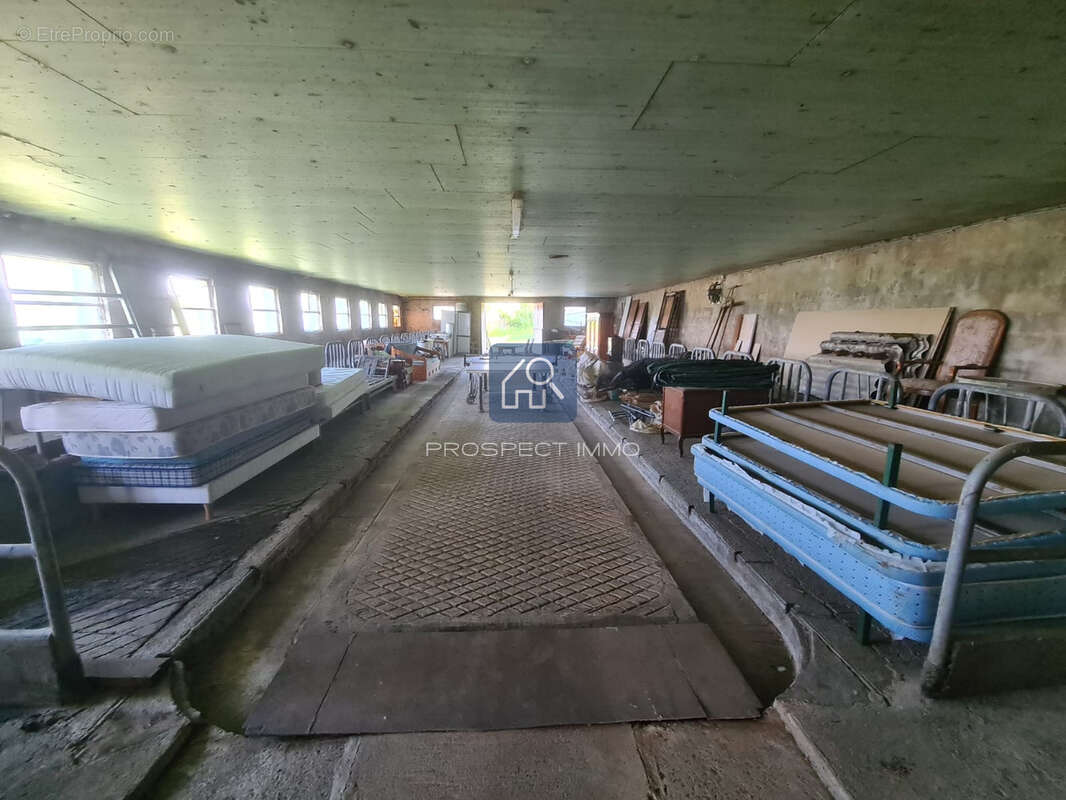 Bâtiment agricole 620 m2 avec terrain et source - photo 6