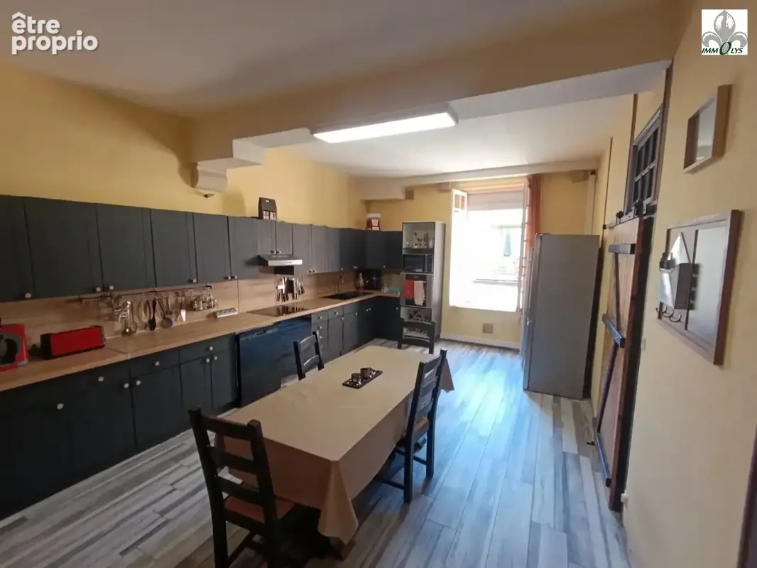 Maison 7 pièces 292 m² à vendre à Seurre (21250) - photo 3