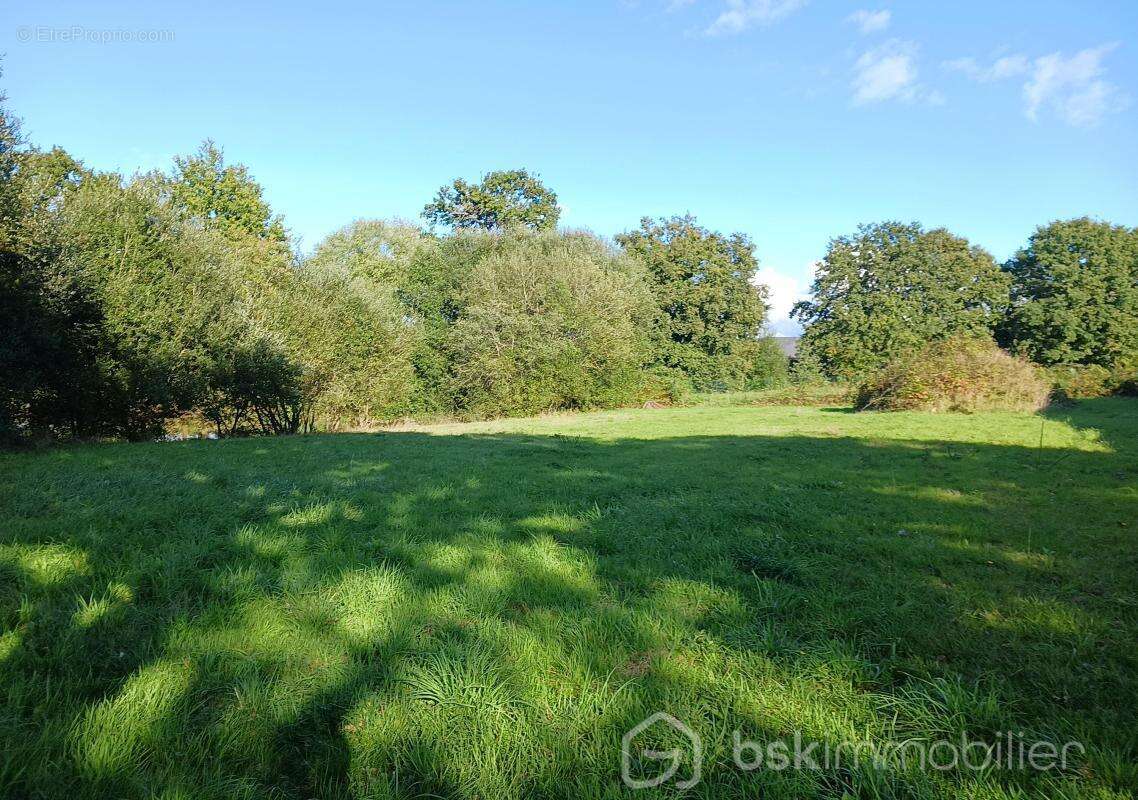 Terrain 5361 m² à Commer  - photo 5