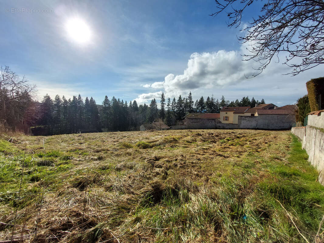 Terrain à MONISTROL-SUR-LOIRE