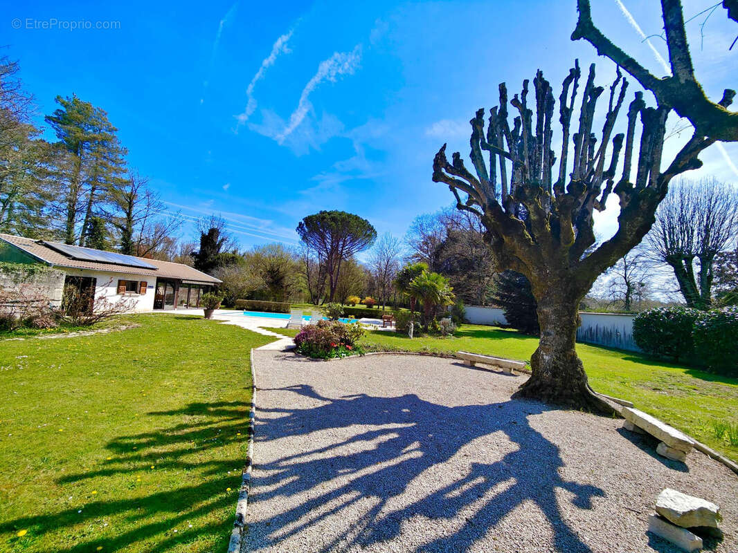 Maison à VILLIEU-LOYES-MOLLON