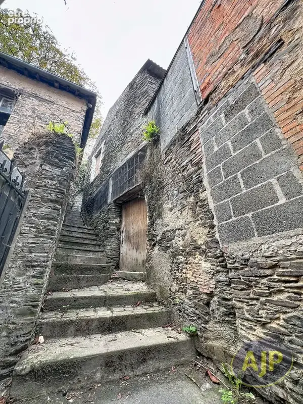 Maison 1 pièce 41 m² à vendre à Segre (49500) - photo 1